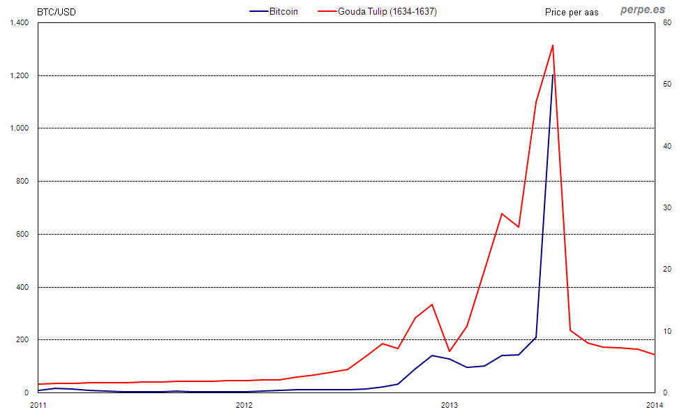 Bitcoin Tulip Dec 2013